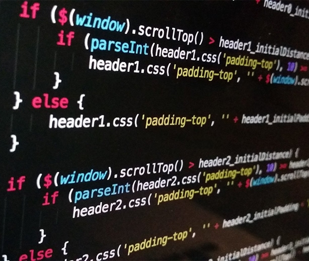 custom website programming code